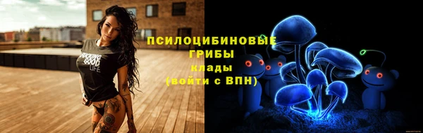 ПСИЛОЦИБИНОВЫЕ ГРИБЫ Бородино
