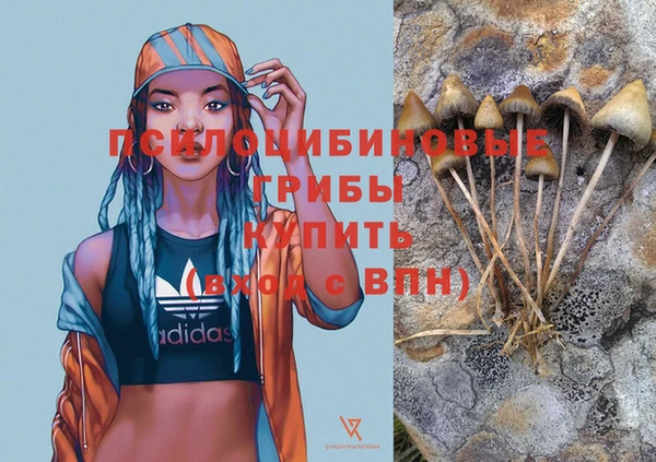 ПСИЛОЦИБИНОВЫЕ ГРИБЫ Бородино