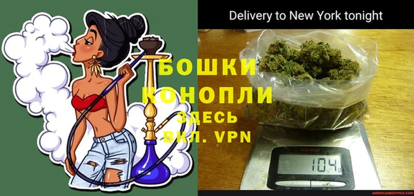 СК Бронницы