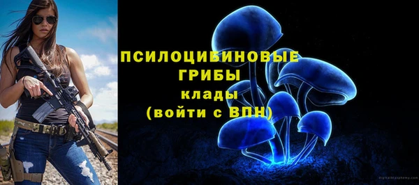 СК Бронницы